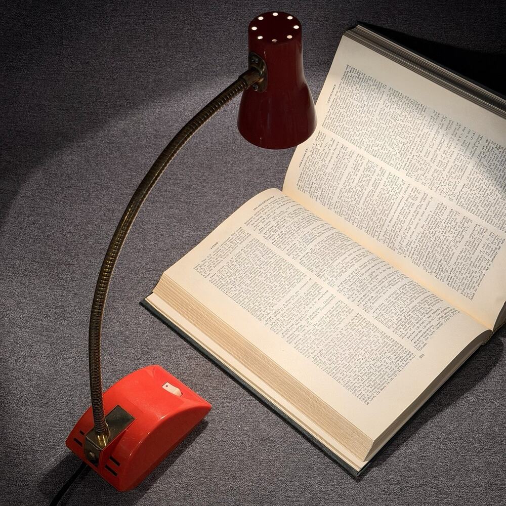 Vintage Riviera Gooseneck Desk Lamp Space Age 1970s New Japan Electric Light